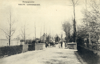 13441 Gezicht in de Nieuw-Loosdrechtsedijk te Nieuw-Loosdrecht (gemeente Loosdrecht) uit het zuidwesten.N.B. De ...